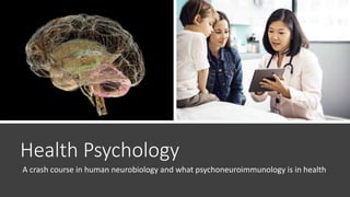 Health Psychology
A crash course in human neurobiology and what psychoneuroimmunology is in health
 