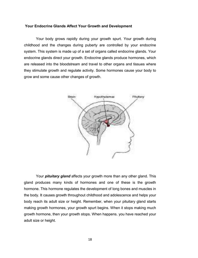 K TO 12 GRADE 7 LEARNING MODULE IN HEALTH (Q1Q2) PDF