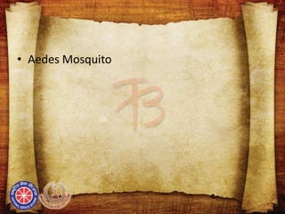 • Aedes Mosquito
 