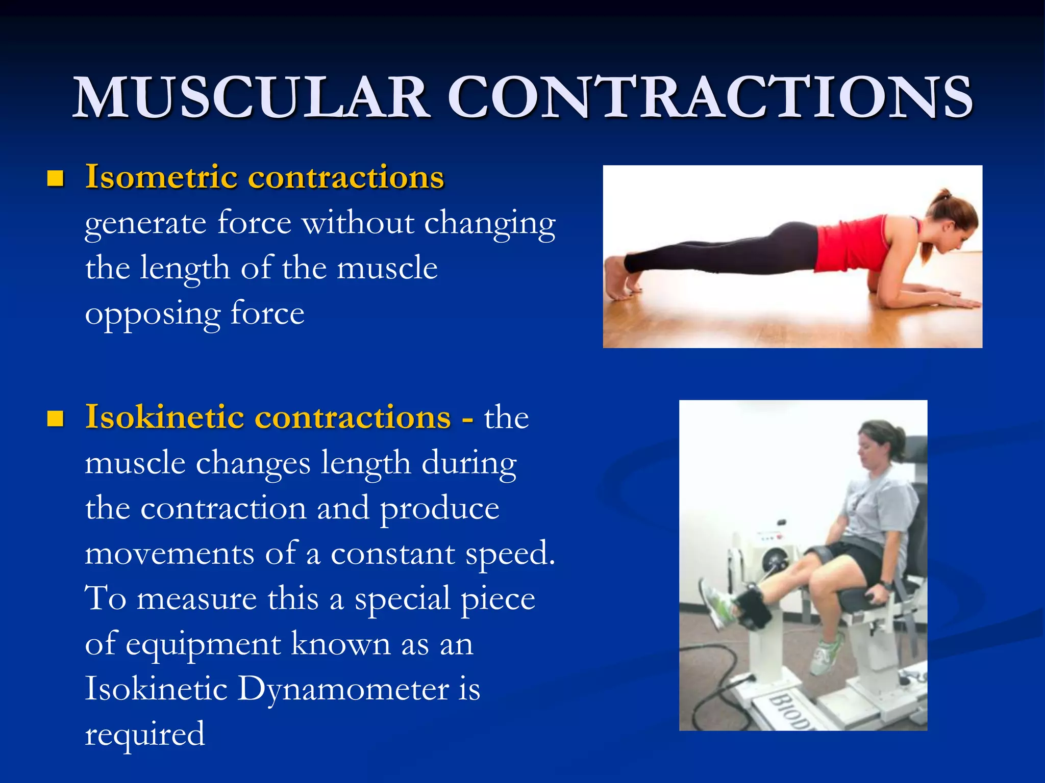 Health Related Fitness Components PPT.ppt