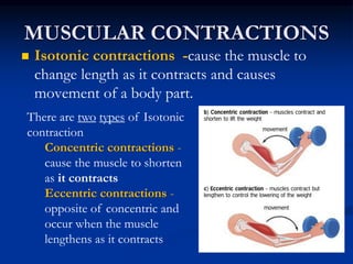 Health Related Fitness Components PPT.ppt