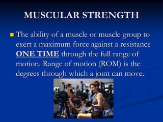 Muscular strength health related fitness hotsell