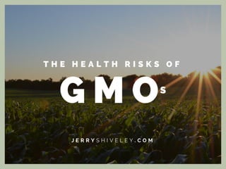 The Health Risks of GMOs
