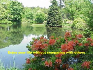 Enjoy your life without comparing with others
 