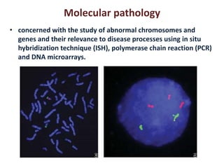 Introduction to pathology | PDF