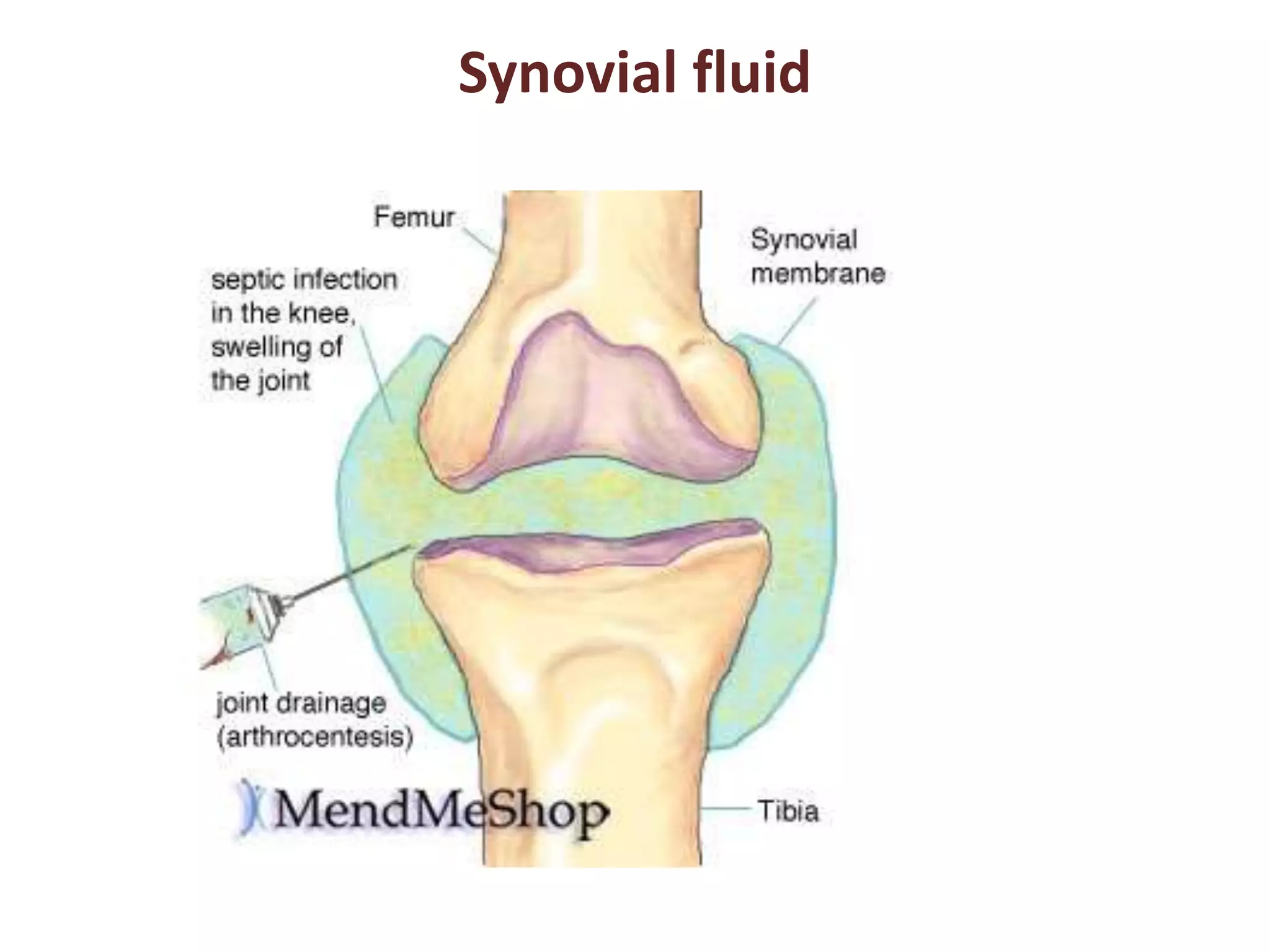 Synovial fluid 
 