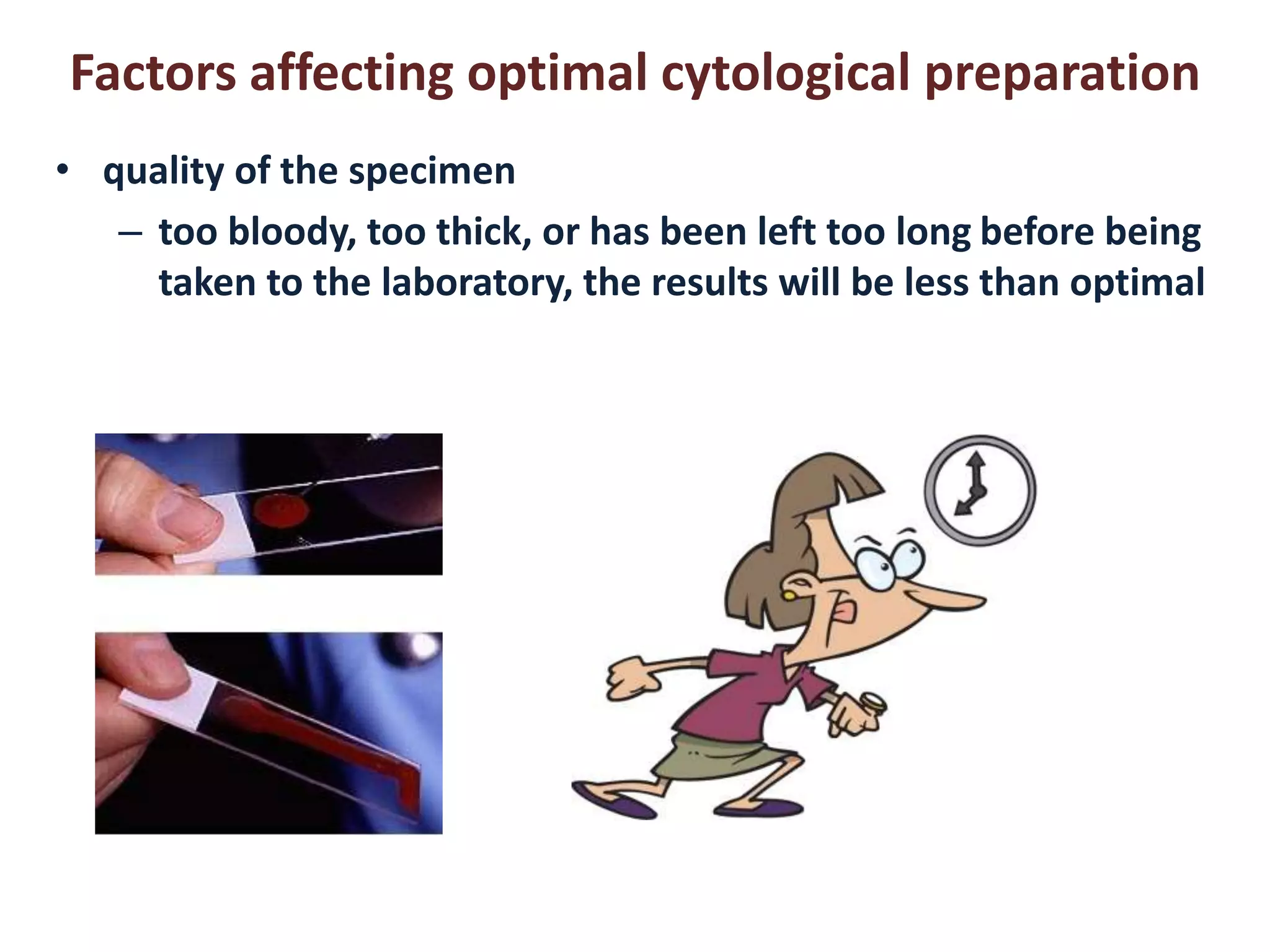 Factors affecting optimal cytological preparation 
• quality of the specimen 
– too bloody, too thick, or has been left too long before being 
taken to the laboratory, the results will be less than optimal 
 