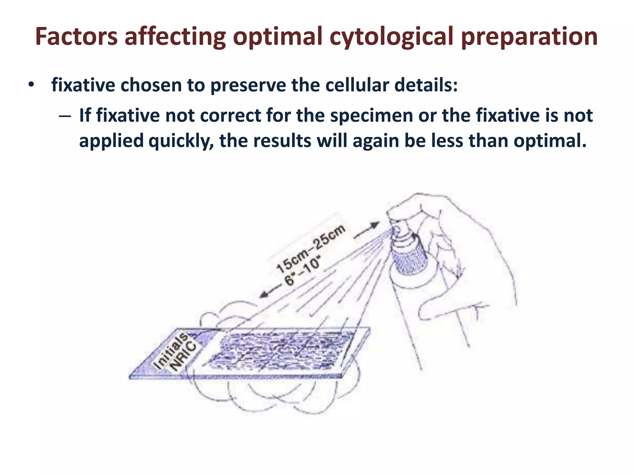 Factors affecting optimal cytological preparation 
• fixative chosen to preserve the cellular details: 
– If fixative not correct for the specimen or the fixative is not 
applied quickly, the results will again be less than optimal. 
 