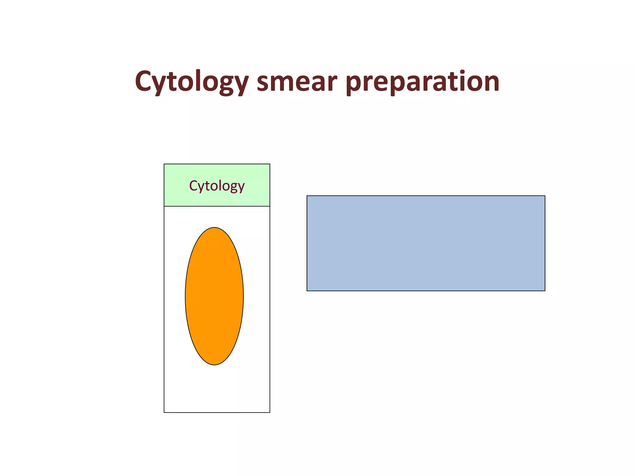 Cytology smear preparation 
Cytology 
 