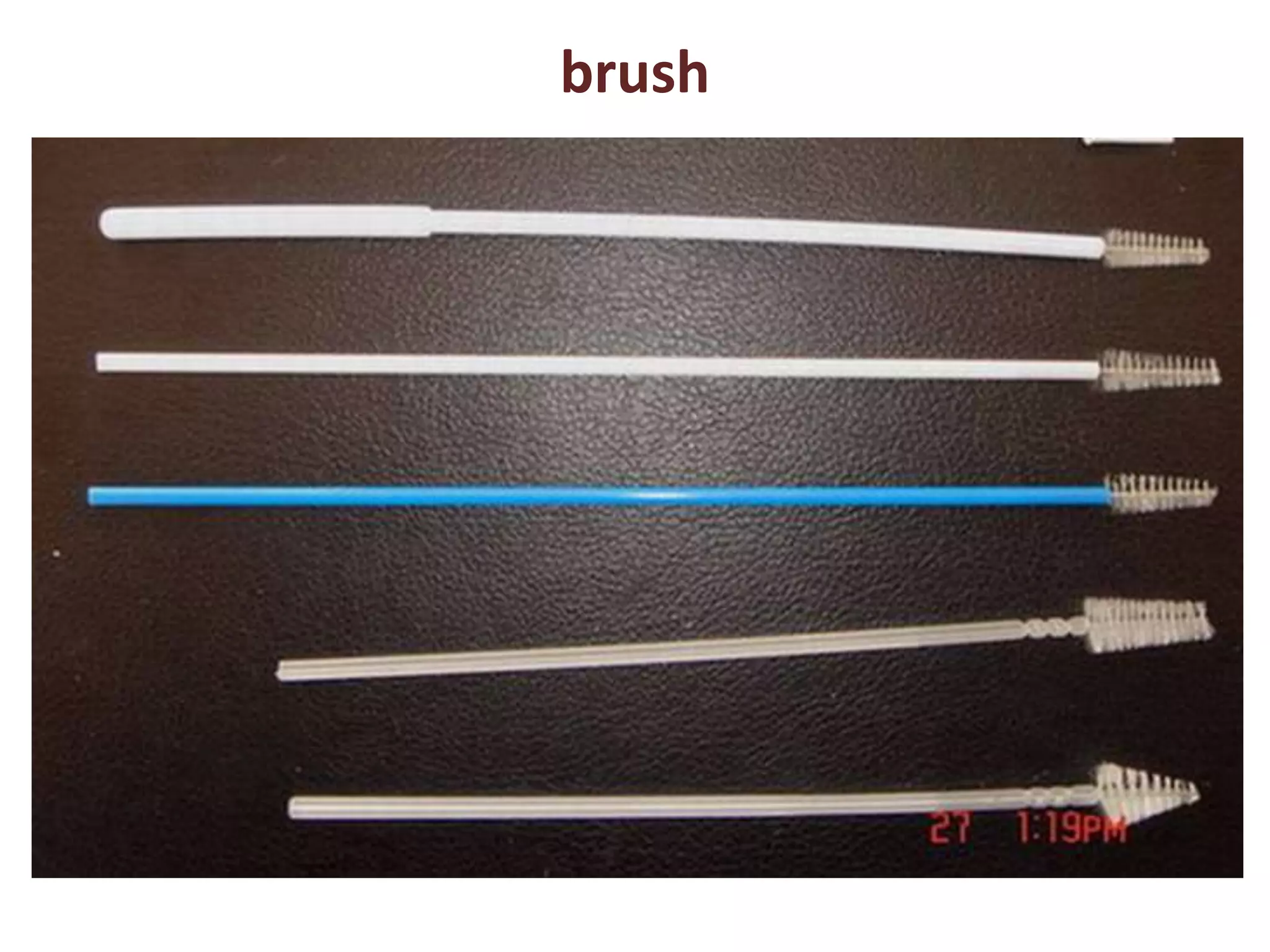 brush 
 