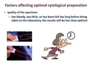 Factors affecting optimal cytological preparation 
• quality of the specimen 
– too bloody, too thick, or has been left too long before being 
taken to the laboratory, the results will be less than optimal 
 