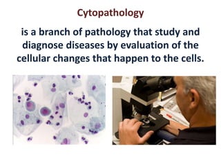 Cytopathology 
is a branch of pathology that study and 
diagnose diseases by evaluation of the 
cellular changes that happen to the cells. 
 