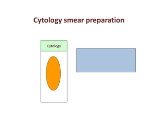 Cytology smear preparation 
Cytology 
 