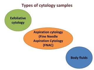 Types of cytology samples 
Exfoliative 
cytology 
Aspiration cytology 
(Fine Needle 
Aspiration Cytology 
(FNAC) 
Body fluids 
 