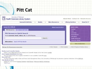 Pitt Cat
 