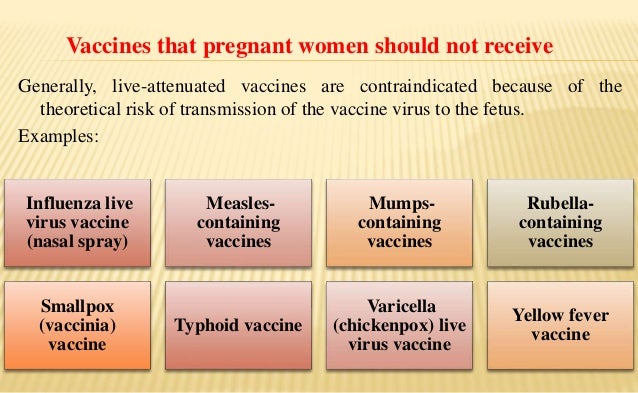 7 Facts About Healthcare In Egypt The Borgen Project