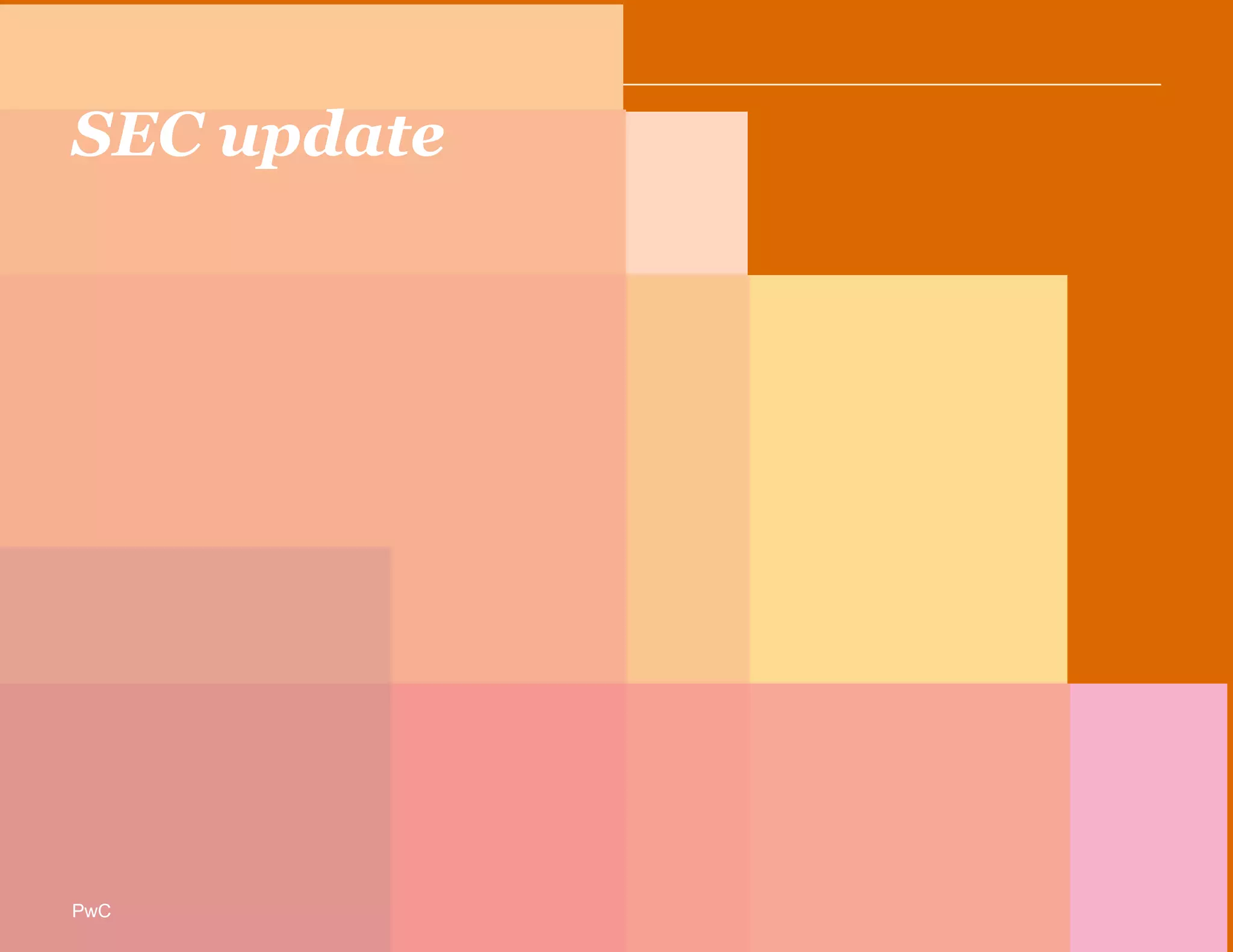 PwC
SEC update
PwC
 