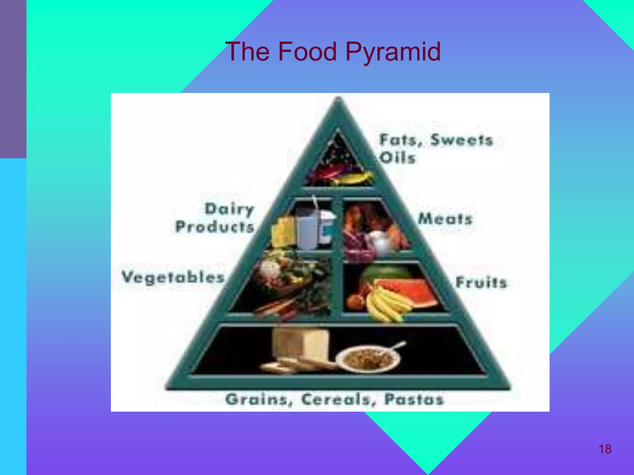 The Food Pyramid




                   18
 