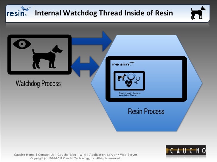Resin Application Server Health System Java Monitoring