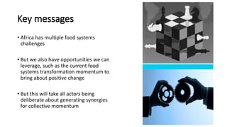 Food systems transformation: An African perspective of where we are and where to next