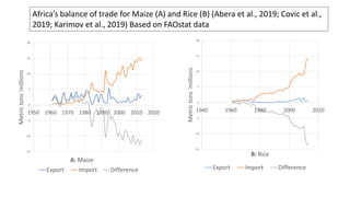 Food systems transformation: An African perspective of where we are and where to next