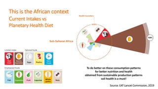Food systems transformation: An African perspective of where we are and where to next