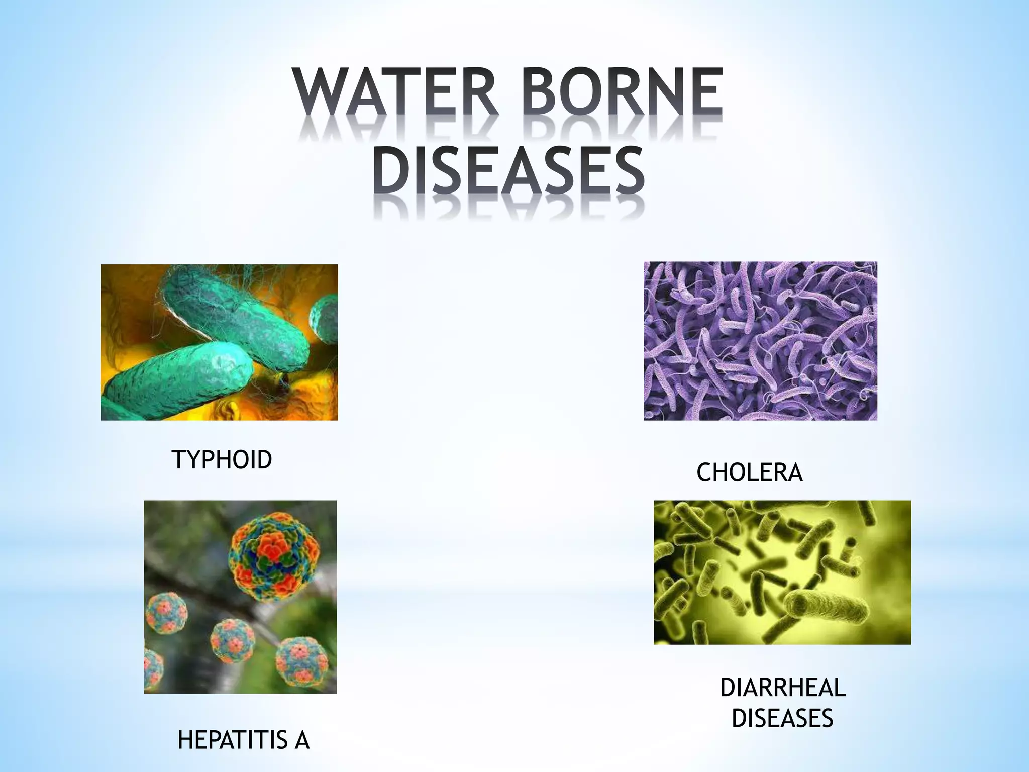 Waterborne Pathogens Examples Health talk on prevention from water borne diseases 2 | PPTX