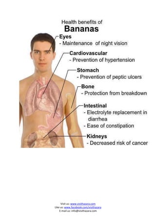 Visit us: www.visithazara.com
Like us: www.facebook.com/visithazara
    E-mail us: info@visithazara.com
 