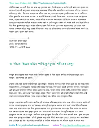 Want more Updates 
Profile : http://tanbircox.blogspot.com
প্ররেরদন অন্তে ১০ তকারি িাকা বযো হরে শুধু ধুমপারনর ননয। রবরাি অংরকর এ অরি িম্পুণিই মানব তদরহ কু ে বরো
আরন। এই ধুমপাোী মানুষগুরো আিান্ত হরে কযান্সারিহ রবরভন্ন নরিে বক্ষবযারধরে। এিব তরারগ প্ররে ১৩ তিরকরন্ড ১
বযরির মষেুয িরে। রবশ্বস্বাস্হহয িংস্হহার এক নরররপ তদখা োো, বাংোরদরশ পুরুষ ধুমপাোীর িংখযা প্রাো ৩ তকারি এবং
মরহো ধুমপাোীর িংখযা অন্তে ৬০ োখ। এ িংখযারি রনঃিরন্দরহ একিা রিন্তার কারণ। মরন রাখরে হরব োরা ধুমপান
কররন, োরদর আশপারশ োরা রারকন, োরাও তধাাঁোাো আিান্ত হন িমানভারব। এই রহরিরব প্রেযক্ষ ও পররাক্ষভারব
ধুমপারনর কাররণ তরাগ-বযারধরে আিারন্তর িংখযা অন্তে ৭ তকারি মানুষ। একবার এই ােক বযারধ তদখা রদরে রিরকৎিা
ধীরর ধীরর দুঃিাধয হরো পড়রব। কারণ িরিকভারব তরাগ রনণিো কররে তে িমরোর প্ররোানন পরড় তি িমরোর মারঝ
কযান্সার তকাষগুরো েরড়রো পরড় তদরহর রবরভন্ন অরঙ্গ। োই এই প্ররেররাধরোগয ােক বযারধ িম্পরকি আনই িেকি এবং
িরিেন তহান। ধুমপান বনিন করুন।
____________________✬
ডাঃ ইকবাে হািান মাহমুদ
তেখকঃ বক্ষবযারধ রবরশষজ্ঞ
আমার তদশ, ০২ আগি ২০০৮
ু ি ু ি শ্বাি-প্রশ্বারির কারন িাহােয করর। আমারদর বুরকর বাাঁ রদরক ররোরে হৃৎরপণ্ড। হৃৎরপরণ্ডর দুপারশ এরদর
অবস্থ্ান। এরা িংখযাো এক তনাড়া।
তপরির ওপর তররক বুরকর িামরনর রদরক এরদর রবিষরে। আমারদর তমরুদরণ্ডর িরঙ্গ অিংখয তোি হাড় েুি আরে বুরকর
িামরনর রদরক। এই হাড়গুরোর িমিরো মেরর হরোরে বক্ষরপঞ্জর। বক্ষরপঞ্জররর মরধযই ু ি ু রির অবস্থ্ান। বক্ষরপঞ্জররর
তোি হাড়গুরো ু ি ু িরক বাইররর আ াে তররক রক্ষা করর। ু ি ু ি োেরি বাদারম বরণির। অধিরকাণাকষ রের তবেুরনর
মরো এরদর গিন। এরদর তদহ স্পরঞ্জর মরো। আমরা পরররবশ তররক কাবিন ডাই-অক্সাইড রমরিে বাোি রনই। তিই
বাোি নারকর মাধযরম িারকোাো )গোর তভেরর অবরস্থ্ে( োো। িারকোা তররক ু ি ু রি তপৌঁোো।
ু ি ু ি তররক বাোি হৃৎরপরণ্ড োো। হৃৎরপণ্ড তিই বাোিরক অরক্সরননেুি করর িারা তদরহ পািাো। তেরকারনা একিা )বাাঁ
বা ডান পারশর( ু ি ু িরক বরে ‘োং’ (খৎষব(। আর দুরিা ু ি ু িরক একিরঙ্গ বরে ‘োংি’। আর রিরকৎিারবজ্ঞারনর
ভাষাো এরক ব্রংকাি বরে। শ্বাি রনরে ু ি ু ি তবেুরনর মরো ু রে োো। আর নাক ও মুখ রদরো বাোি তবর করারক
বরে প্রশ্বাি। প্রশ্বারির িমো ু ি ু ি িুপরি োো। আকারর তোি হরো আরি। গিনপ্রকষ রে তবেুরনর মরো হওোাো
ু ি ু িরক বো হো ‘তদরহর তবেুন’। হৃৎরপরণ্ডর মরো ু ি ু িও রবরামহীন গরেরে কান কররেই রারক। ুমন্ত অবস্থ্াোও
িেরে রারক ু ি ু রির পররিম। প্ররেরি পূণিবোস্ক মানুষ প্ররে রমরনরি শ্বাি-প্রশ্বাি তনো ১২ তররক ১৮ বার। আর রশশুরা
তনো ২০ তররক ৩০ বার। েরব পরররবশ-পরররস্থ্রে ও মানরিক অবস্থ্ার ননয এই পররমাণ বাড়রে বা কমরে পারর।
 