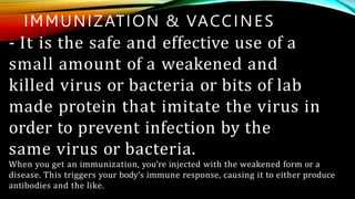 IMMUNIZATION & VACCINES
- It is the safe and effective use of a
small amount of a weakened and
killed virus or bacteria or bits of lab
made protein that imitate the virus in
order to prevent infection by the
same virus or bacteria.
When you get an immunization, you’re injected with the weakened form or a
disease. This triggers your body’s immune response, causing it to either produce
antibodies and the like.
 