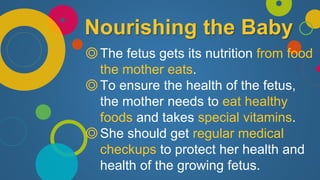 Nourishing the Baby
◎The fetus gets its nutrition from food
the mother eats.
◎To ensure the health of the fetus,
the mother needs to eat healthy
foods and takes special vitamins.
◎She should get regular medical
checkups to protect her health and
health of the growing fetus.
 