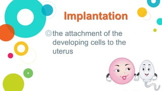 Implantation
◎the attachment of the
developing cells to the
uterus
 