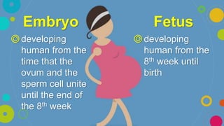 ◎developing
human from the
time that the
ovum and the
sperm cell unite
until the end of
the 8th week
Embryo
◎developing
human from the
8th week until
birth
Fetus
 