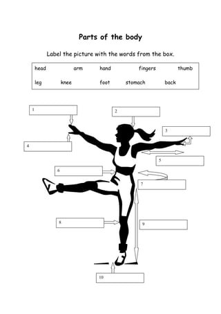 Parts of the body
Label the picture with the words from the box.
head arm hand fingers thumb
leg knee foot stomach back
5
1 2
8
6
10
3
4
9
7
 
