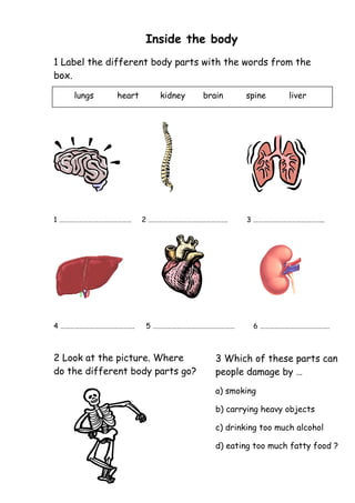 Inside the body
1 Label the different body parts with the words from the
box.
1 ……………………………………… 2 …………………………………………. 3 ……………………………………..
4 ………………………………………. 5 …………………………………………… 6 …………………………………….
2 Look at the picture. Where
do the different body parts go?
lungs heart kidney brain spine liver
3 Which of these parts can
people damage by …
a) smoking
b) carrying heavy objects
c) drinking too much alcohol
d) eating too much fatty food ?
 