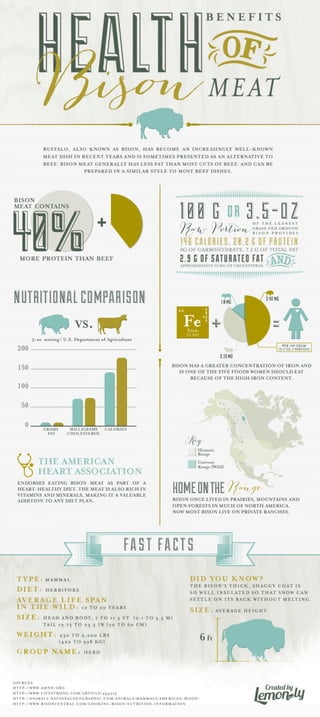 Health Benefits of Bison Meat Infographic - Lemonly