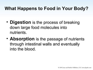 What Happens to Food in Your Body? Digestion  is the   process of breaking down large food molecules into nutrients.  Absorption  is the   passage of nutrients through intestinal walls and eventually into the blood. 