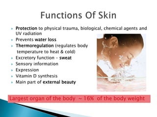    Protection to physical trauma, biological, chemical agents and
    UV radiation
   Prevents water loss
   Thermoregulation (regulates body
    temperature to heat & cold)
   Excretory function – sweat
   Sensory information
   Expression
   Vitamin D synthesis
   Main part of external beauty


Largest organ of the body ~ 16% of the body weight
 