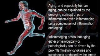 Healthy Aging | PPTX