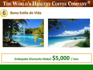 6   Bono Estilo de Vida




      Embajador Diamante Global:   $5,000 / mes
 