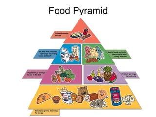 Food Pyramid 