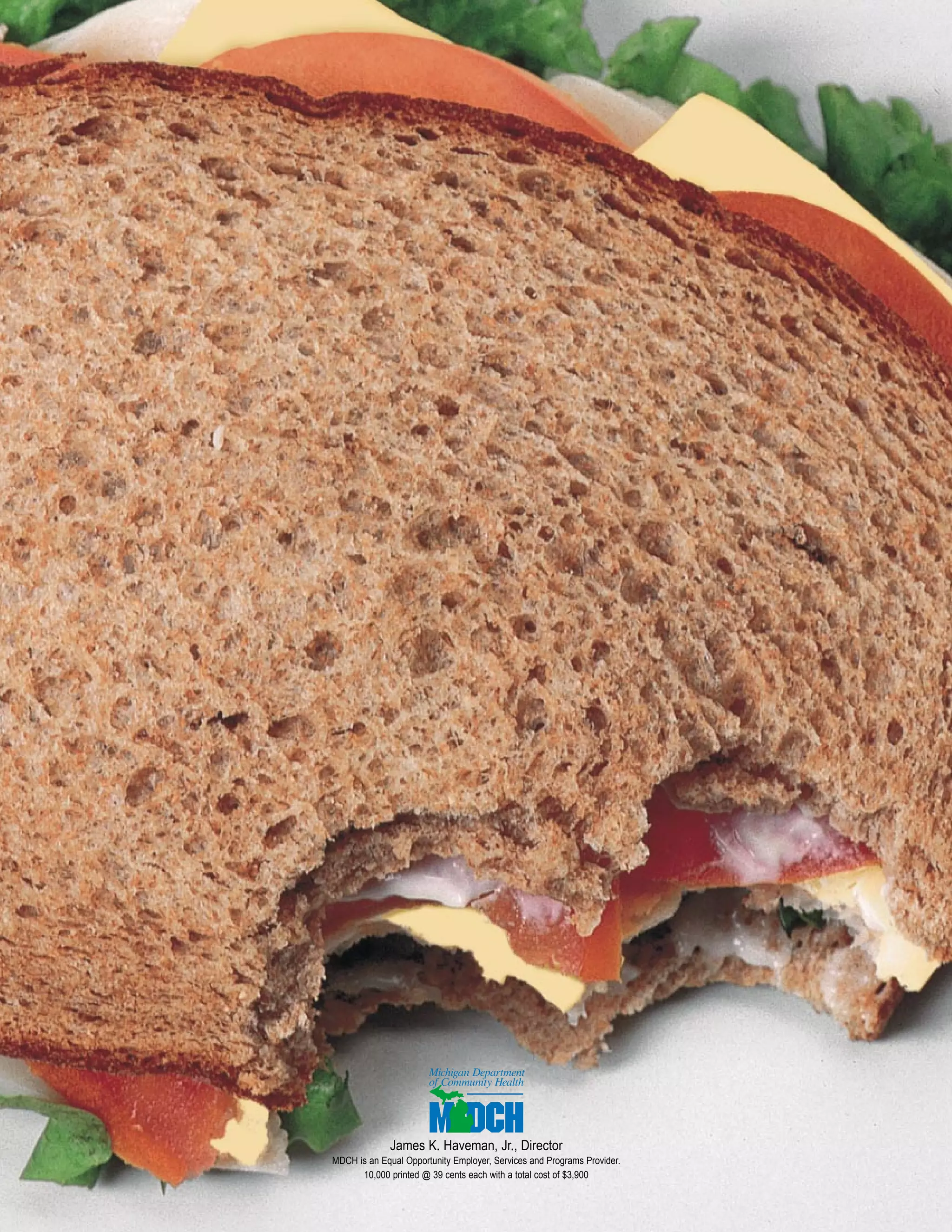 James K. Haveman, Jr., Director
MDCH is an Equal Opportunity Employer, Services and Programs Provider.
10,000 printed @ 39 cents each with a total cost of $3,900
 