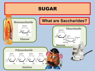 SUGAR
What are Saccharides?Monosaccharide
Polysaccharide
Glucose
Amylose
Disaccharide
Sucrose
 
