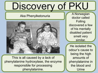 Discovery of PKU
A Norwegian
doctor called
Folling
discovered a few
of his mentally
disabled patient
smelt very
similar.
He isolated the
odour’s cause to
being the high
amounts of
phenylalanine in
the blood and
Urine
This is all caused by a lack of
phenylalanine hydroxylase, the enzyme
responsible for processing
phenylalanine.
Aka Phenylketonuria
 