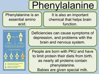 Phenylalanine is an
essential amino
acid.
It is also an important
chemical that helps brain
function.
Phenylalanine
Deficiencies can cause symptoms of
depression, and problems with the
brain and nervous system.
People are born with PKU and have
to limit protein their diets from birth,
as nearly all proteins contain
phenylalanine.
Babies are given special milk.
 