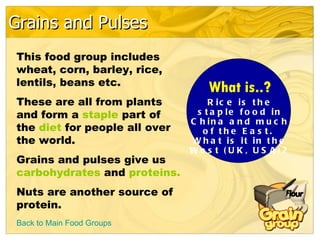 Grains and Pulses Back to Main Food Groups This food group includes wheat, corn, barley, rice, lentils, beans etc. These are all from plants and form a  staple  part of the  diet  for people all over the world. Grains and pulses give us  carbohydrates  and  proteins. Nuts are another source of protein. What is..? Rice is the staple food in China and much of the East.  What is it in the West (UK, USA)? 