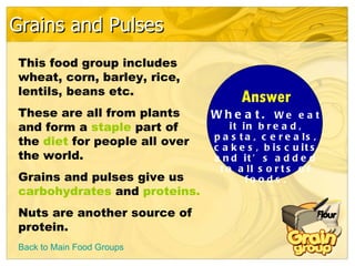 Grains and Pulses
This food group includes
wheat, corn, barley, rice,
lentils, beans etc.
                                     Answer
These are all from plants      Wh e a t. We e a t
and form a staple part of          it in b r e a d ,
                               p a s t a , c e r e a ls ,
the diet for people all over   c a k e s , b is c u it s
the world.                     a n d it ’ s a d d e d
                                t o a ll s o r t s o f
Grains and pulses give us              fo o d s .
carbohydrates and proteins.
Nuts are another source of
protein.
Back to Main Food Groups
 