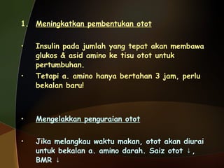 Meningkatkan pembentukan otot Insulin pada jumlah yang tepat akan membawa glukos & asid amino ke tisu otot untuk pertumbuhan. Tetapi a. amino hanya bertahan 3 jam, perlu bekalan baru! Mengelakkan penguraian otot Jika melangkau waktu makan, otot akan diurai untuk bekalan a. amino darah. Saiz otot  ↓,  BMR ↓   