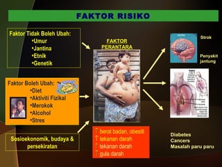 FAKTOR PERANTARA FAKTOR RISIKO Faktor Tidak Boleh Ubah: Umur Jantina Etnik Genetik Faktor Boleh Ubah: Diet  Aktiviti Fizikal Merokok Alcohol Stres Sosioekonomik, budaya & persekiratan Diabetes Cancers Masalah paru paru Strok Penyakit jantung    berat badan, obesiti    tekanan darah    tekanan darah    gula darah 