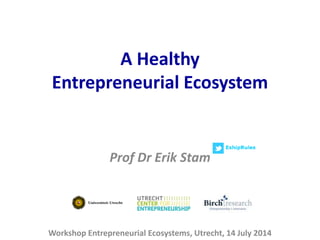 A Healthy
Entrepreneurial Ecosystem
Workshop Entrepreneurial Ecosystems, Utrecht, 14 July 2014
Prof Dr Erik Stam
 
